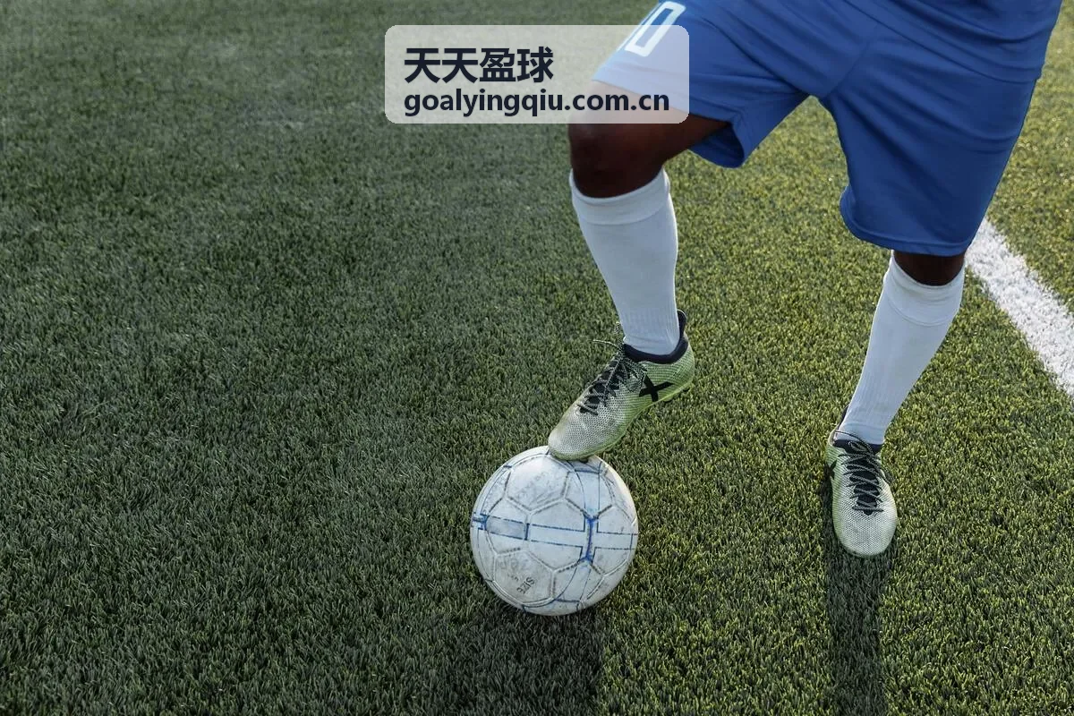 天天盈球积分榜专区